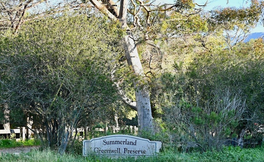 Summerland Greenwell Preserve: Stewardship in Action