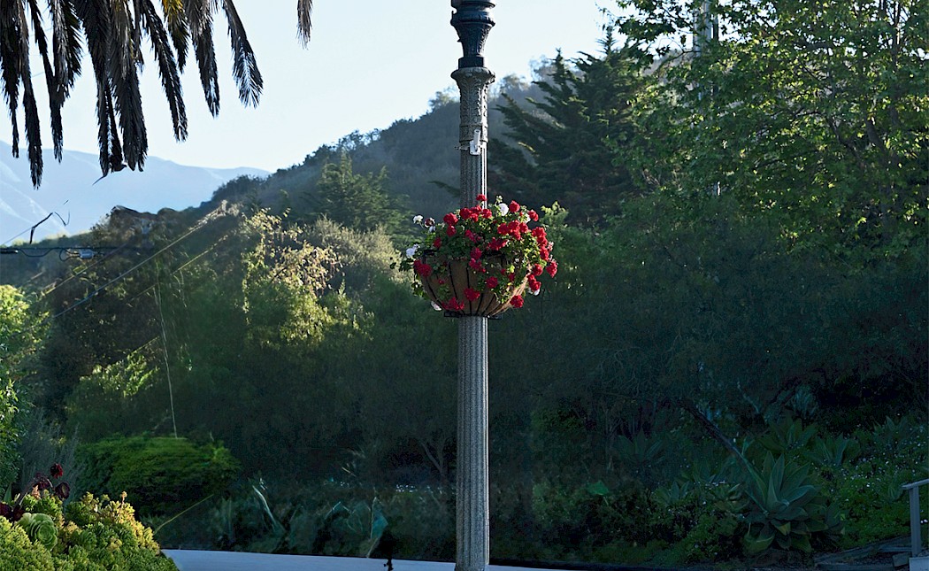 Summerland in Bloom, Year-Round